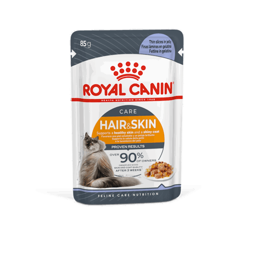 FHN WET HAIR & SKIN  in JELLY gr 85