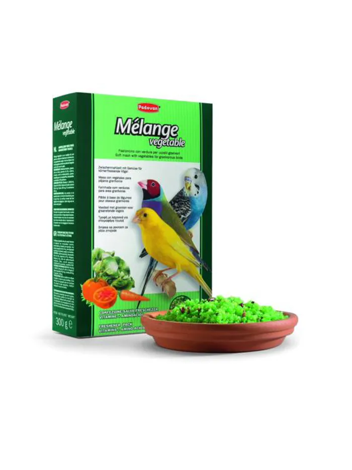 MELANGE VEGETABLE gr 300