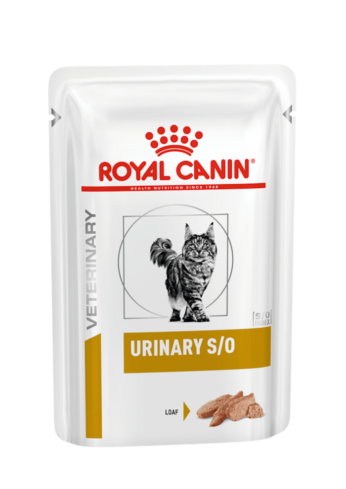 WET CAT URINARY PATE' gr 85 confezione da 12 bustine