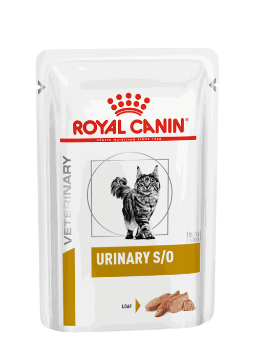 WET CAT URINARY PATE' gr 85