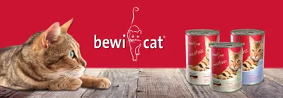 BEWI CAT