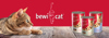 BEWI CAT