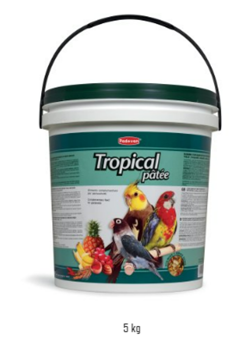 TROPICAL PATEE kg 05
