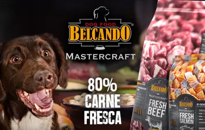 BELCANDO MASTERCRAFT