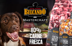 Immagine del brand BELCANDO MASTERCRAFT