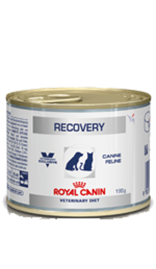 WET RECOVERY (lattina) gr 195