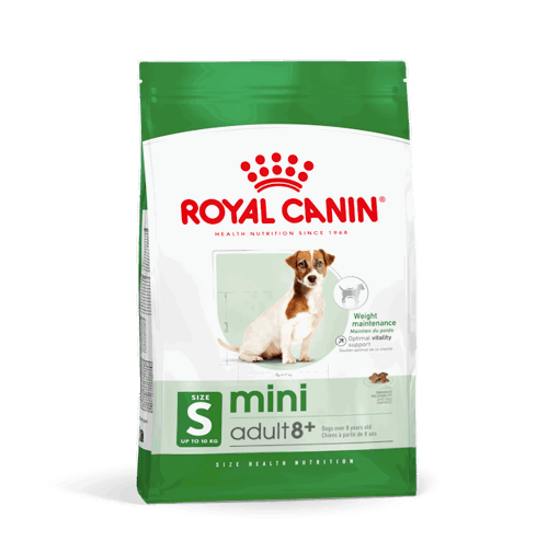 SHN MINI ADULT + 8 Gr 800  