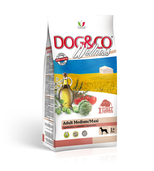 DOG&CO Wellness ADULT Medium Maxi Agnello e Riso Kg 3