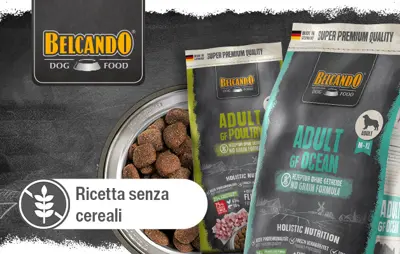 BELCANDO RICETTE SENZA CEREALI 