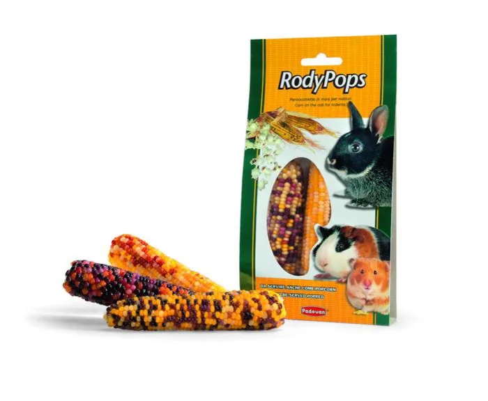 RODYPOPS