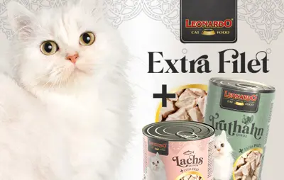 LEONARDO FILETTO EXTRA lattine