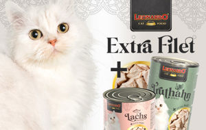 Immagine del brand LEONARDO FILETTO EXTRA lattine