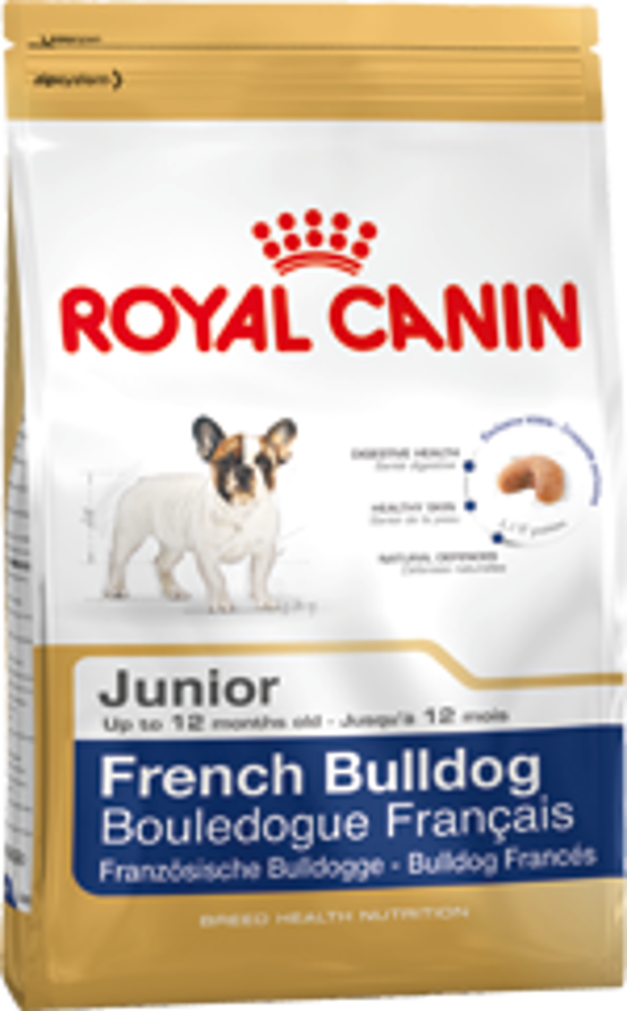 SBN BULLDOG FRANCESE JUNIOR Kg 03