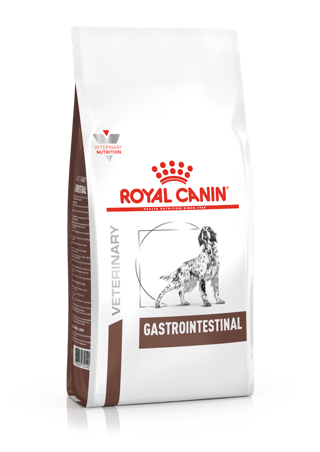 VD DRY DOG GASTRO INTESTINAL Kg 2  