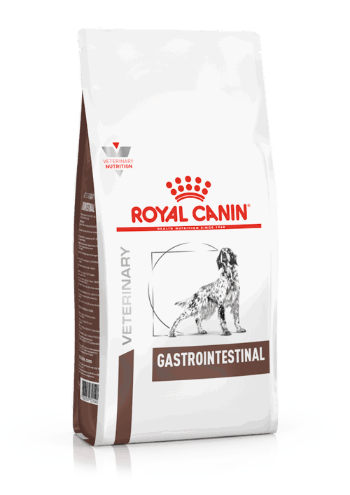 VD DRY DOG GASTRO INTESTINAL Kg 2  