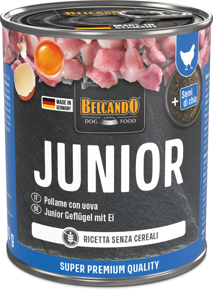 BELCANDO Junior Pollo gr 800