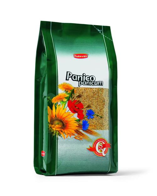 PANICO Kg 1