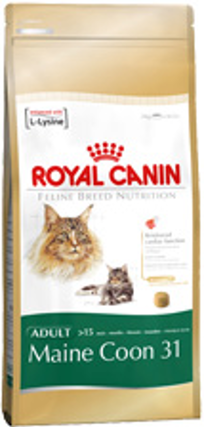 FBN MAINE COON Kg 2