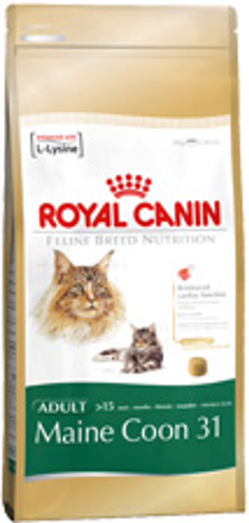 FBN MAINE COON Kg 10