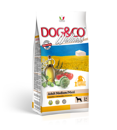 DOG&CO Wellness ADULT Medium Maxi Pollo e Riso Kg 12