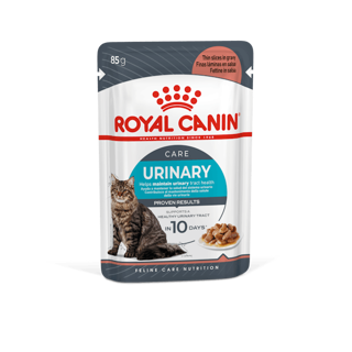 FHN WET URINARY CARE gr 85