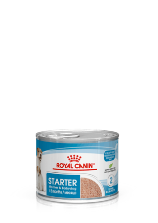WET DOG STARTER MOUSSE gr 195