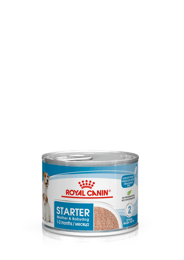 WET DOG STARTER MOUSSE gr 195