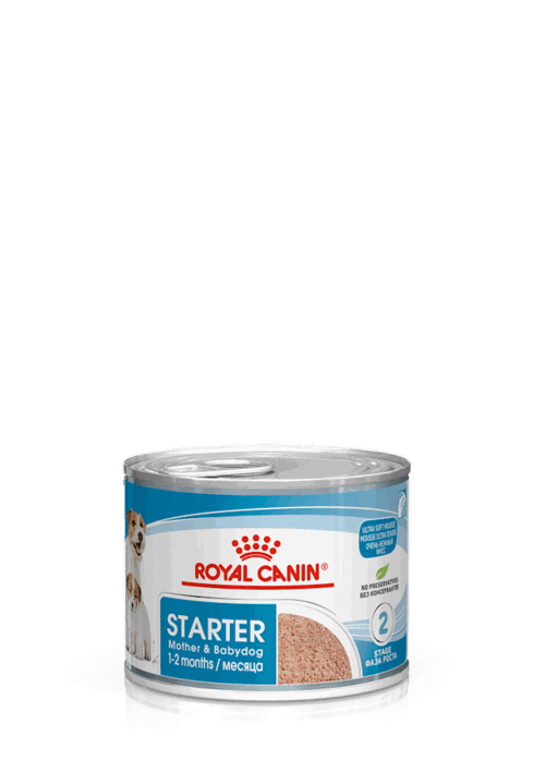 WET DOG STARTER MOUSSE gr 195