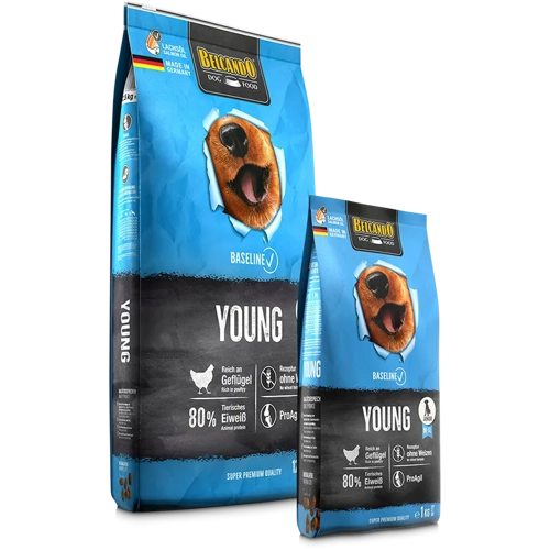  BASELINE YOUNG Kg 12,5