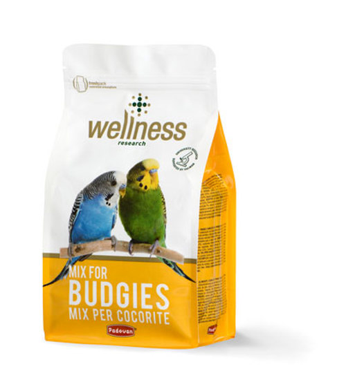 WELLNESS COCORITE Kg 01
