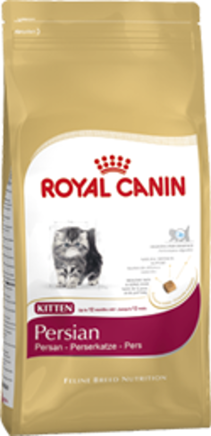 FBN KITTEN PERSIAN Kg 2