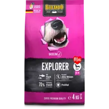 BASELINE EXPLORER  Kg 4