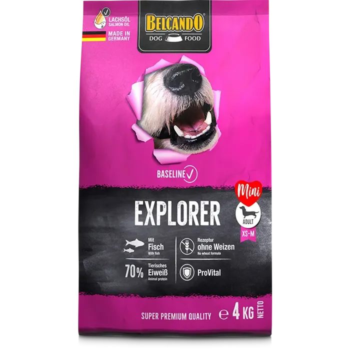 BASELINE EXPLORER  Kg 4