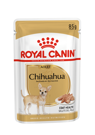 CHN WET CHIHUAHUA Gr 85