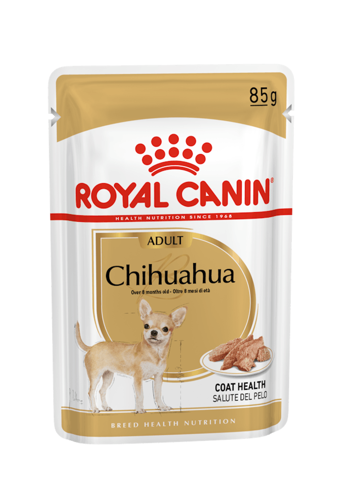 CHN WET CHIHUAHUA Gr 85