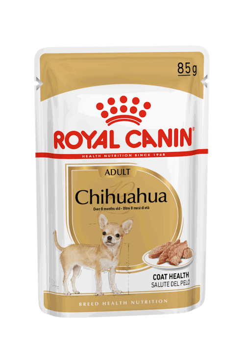 CHN WET CHIHUAHUA Gr 85