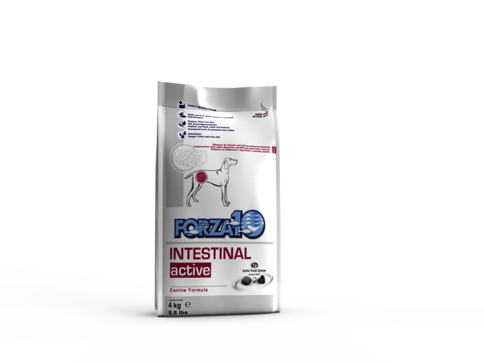 FORZA 10 INTESTINAL ACTIVE Cane Kg 4