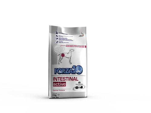 FORZA 10 INTESTINAL ACTIVE Cane Kg 4