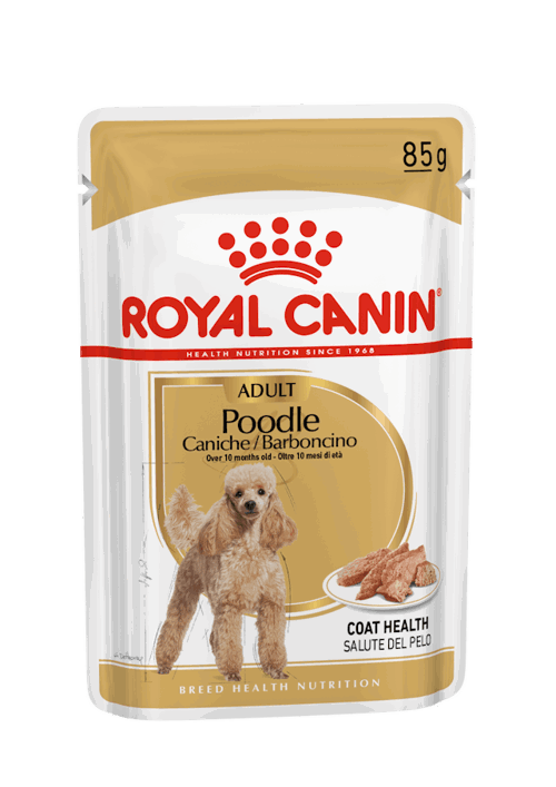 CHN WET POODLE Gr 85