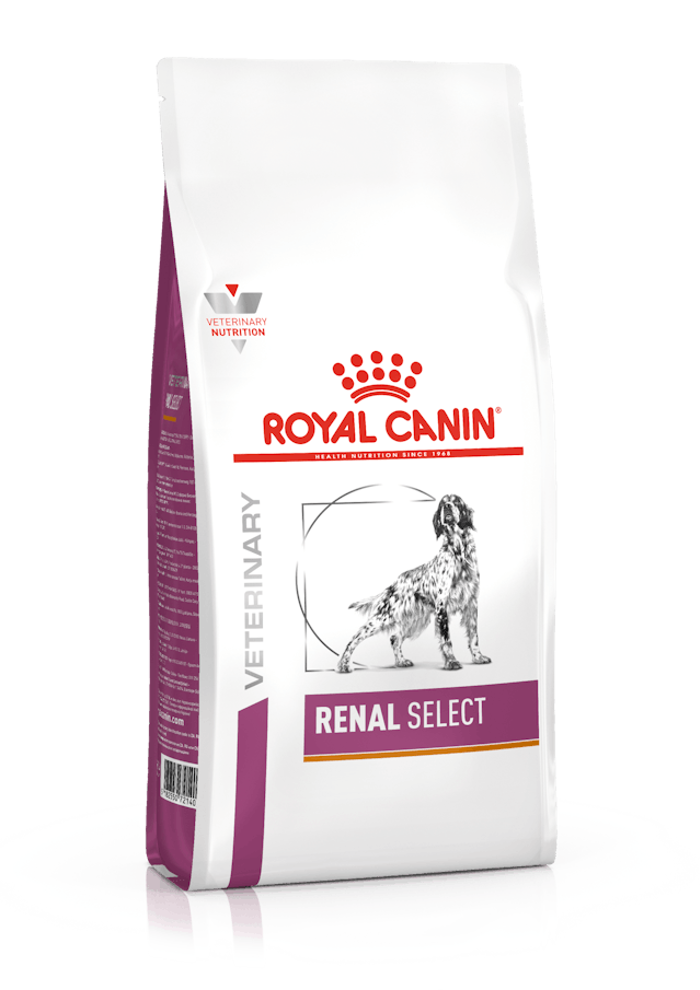 VD DRY DOG RENAL SELECT Kg 2