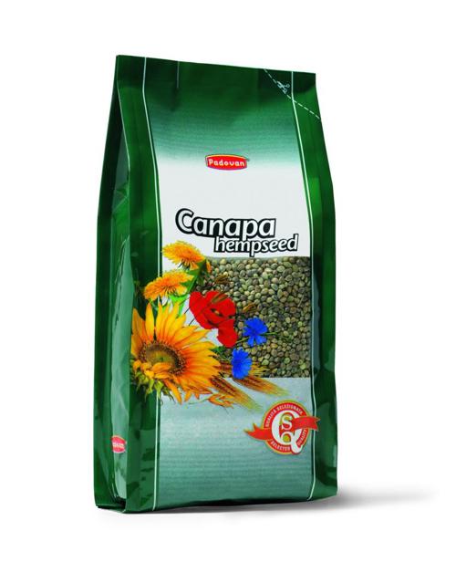 CANAPUCCIA gr 850