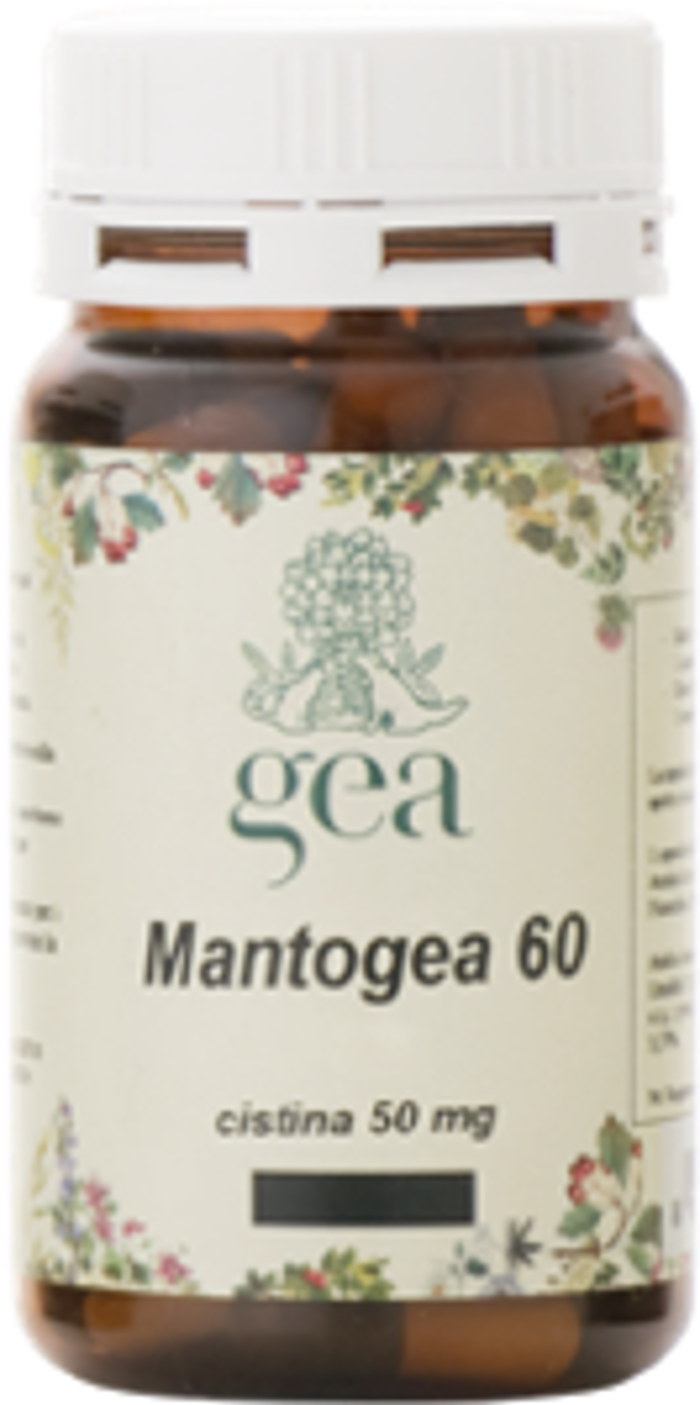 BALDECCHI  MANTOGEA PLUS 60