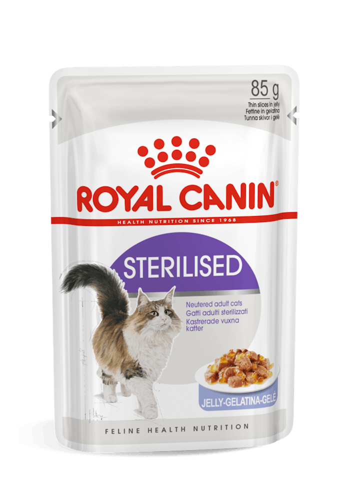 FHN WET STERILIZED in JELLY gr 85 box da n 12 bustine