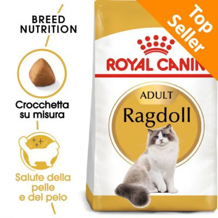 FBN RAGDOLL KG 2