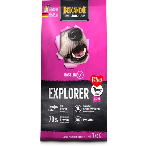 BASELINE EXPLORER  Kg 1