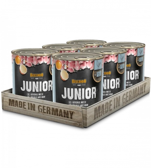 BELCANDO Junior Pollo gr 800