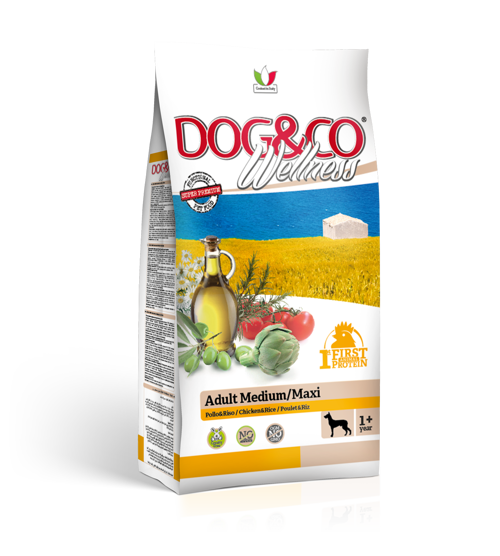  DOG&CO W ADULT Med/Maxi Pollo Kg 3
