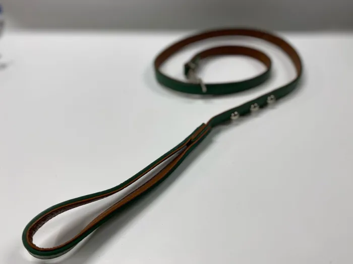 Ferribiella GUINZAGLIO SPIKY VERDE 120CM