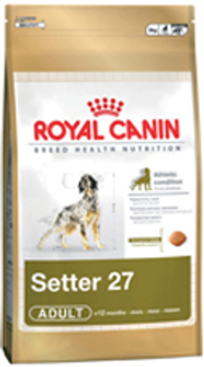 BHN SETTER ADUlt Kg 12