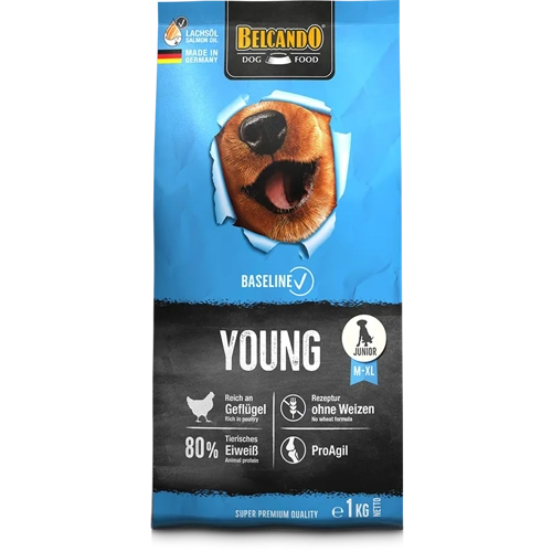 BASELINE YOUNG Kg 1